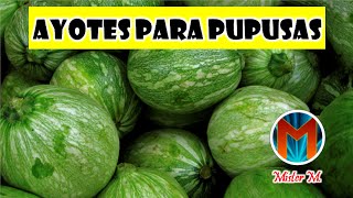 😎 AYOTE PARA PUPUSAS ​😁​​