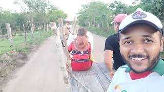 colocamos os bezerros no carro pela a terceira vez