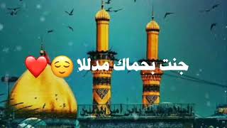 مقطع قصير ياخويه شيال العلم (بدون حقوق)