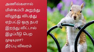 அணில்களால்  மின்கம்பி அறுந்து விழுந்து விபத்து ஏற்பட்டு  நபர் இறந்து விட்டால் இழப்பீடு பெற முடியுமா?