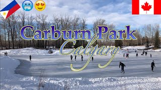 Carburn Park Winter 2020 | Calgary AB, Canada  Vlog #5