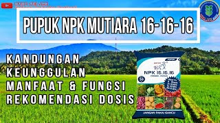 PUPUK NPK KANDUNGAN MANFAAT DAN KEGUNAAN UNTUK TANAMAN SAYURAN