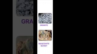 Muscovite, Biotite, Chlorite