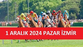 1 ARALIK 2024 PAZAR İZMİR AT YARIŞI TAHMİNLERİ VE YORUMLARI