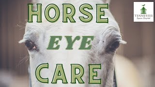 Equine Eye Care with Dr. Nathaniel Wright