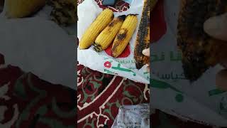 makan jagung bakar di atas gunung