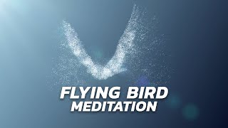 Flying Bird Meditation - Visually Guided