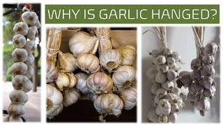 Why is garlic hanged