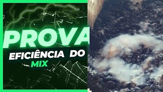 #MIX DE ENGORDA: prova da eficiência.