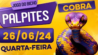 PALPITE DO DIA 26/06/2024 - JOGO DO BICHO 🍀 TODAS AS LOTERIAS 🍀