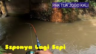 SPOTNYA LAGI SEPI