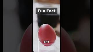 Fun Fact: 🥚🦴 The Future!?! #shorts #facts #viral #nature #future