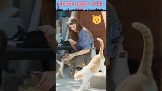 Mew York 😺 Get your cat fix while in New York City #newyork #cat