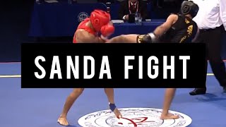 Sanda fight compilation Striking & Wrestling