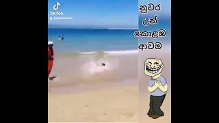 meme 001 නුවර උන් කොලබ ආවම 😂😂