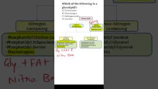 #NEETPG #BIOCHEMISTRY MCQs | Glycolipid | Glycosphingolipid