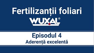 Episodul 4. ADERENȚĂ EXCELENTĂ (Stickerii)