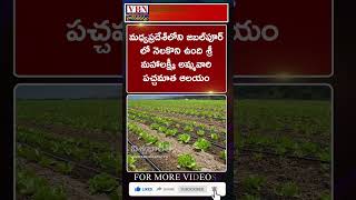 భక్తి వార్తలు :-  vbn bhakthi news 02-08-2024 |  @vbnhaindavadharmam