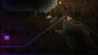 Pickwick Papers Chapter 12 - Terraria Item ID 46