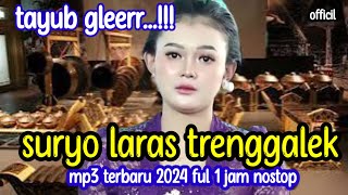 tayub trenggalek gler...cocok di putar pas lagi hajatan