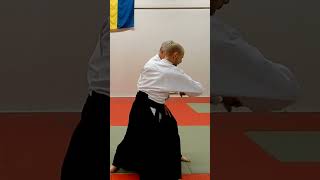 Aikido in slow motion: IKKYO with a sword, KEN NO TEBIKI, by Stefan Stenudd