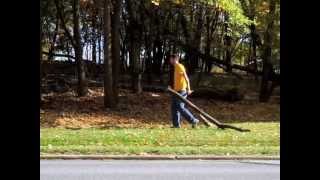 Wood Project 1 - Leaves Among the Trees