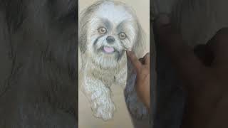 Baby Dog, Cute Puppy Drawing In Soft Pastel. Baby Dog Immortalized In Art