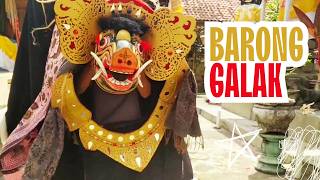 Atraksi Barong bangkung Galak