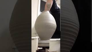 Large Egg Shaped Vase Time Lapse