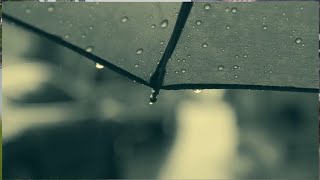 one more rainy day softly blue in sleeping asmr