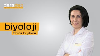 #Biyoloji- Canlıların Temel Bileşenleri - İnorganik Bileşikler #20