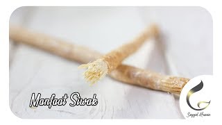 Rahasia Besar Dibalik Siwak