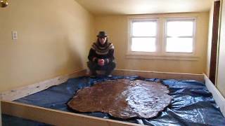 Part 1  - Buffalo Hide Tanning Project 2012