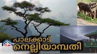 Nelliampathi Seethargundu view point || നെല്ലിയാമ്പതി സീതാർഗുണ്ട് വ്യൂ പോയിന്റ് @realistictravelogue