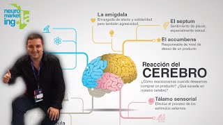 ¿Cómo hacer una Infografía en la herramienta PIKTOCHART?