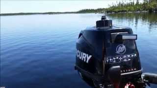 Brook Trouting In Newfoundland