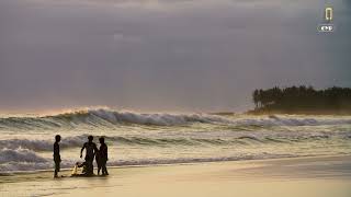 Handheld Long Shot of People On Shore of Pererenan Beach