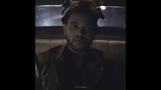 Kissland | #shorts #theweeknd #xo #xoteam #music #edit #reels #subscribe #trending #tiktok