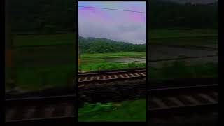 Romantic nature ❤️ #shorts #assam #dtx #natural #nature #train