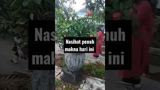 nasihat hari ini #katabijak#fypシ゚ #shortsviral