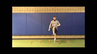 Hurdle Hop - Medial & Lateral (IN & OUT) - Single Response