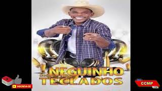 NEGUINHO DOS TECLADOS-DJ SOLTA O PANCADÃO