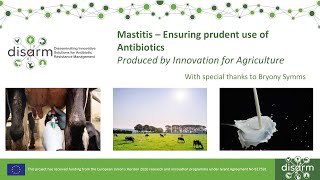 Mastitis: Ensuring prudent use of Antibiotics