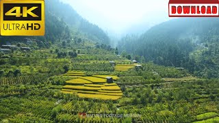 🎁4K Terraced field in Kullu Valley Himachal Pradesh India | DAILY NATURE FOOTAGE