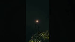 #shortsvideo #night #moon #fullmoon #nightlife #chandamama