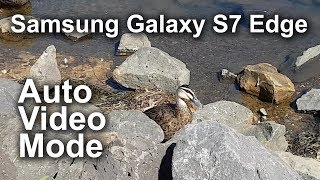 Samsung Galaxy S7 Edge - HD Auto Video Mode