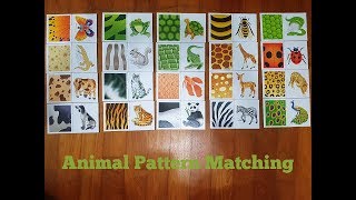 Logic activity - Animal Pattern Matching puzzle