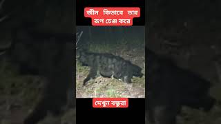 জীন কিভাবে তার রুপ চেন্জ করে 😯। #shorts #shortvideo #viralvideo #entertainment #allinone