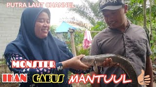 Habis pulang ngambil ikan di bubu jebak nyampai di rumah langsung di borong sama big bos