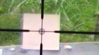 Steyr LG 110 from 50 meters 10 shots Scope cam